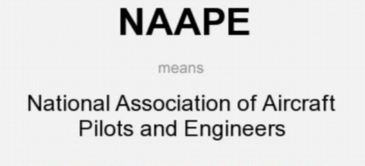 Empower domestic airlines to fill space created by foreign airlines’ exit - NAAPE urges FG